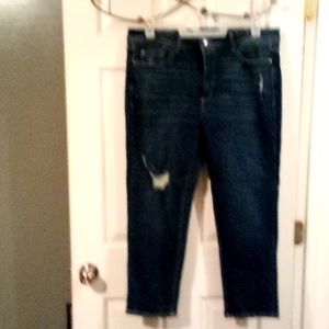 Terra Sky Jeans 16W